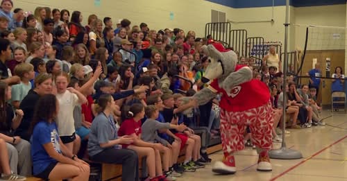  kc wolf